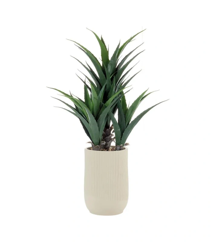 1N117 Agave LNN Ø 60 x 107 h cm (váza Ø 25 cm)