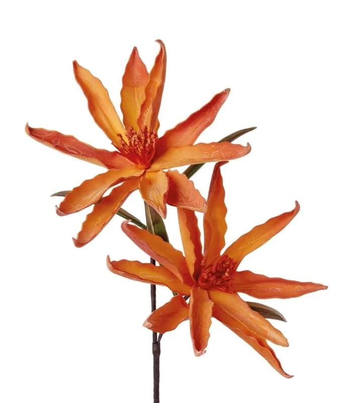 1P301 Umelý kvet Leucadendron LNN 91 h cm