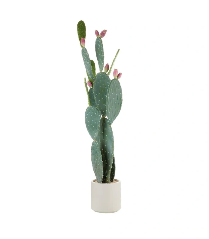 1N115 Kaktus LNN Ø 34 x 138 h cm (váza Ø 22 cm)
