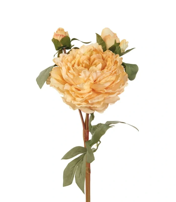 1P239 Umelý kvet Peony LNN 60 h cm