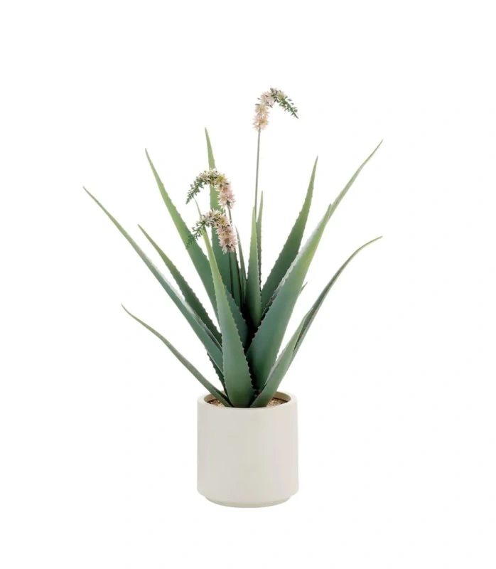 1N116 Aloe LNN Ø 57 x 90 h cm (váza Ø 22 cm)